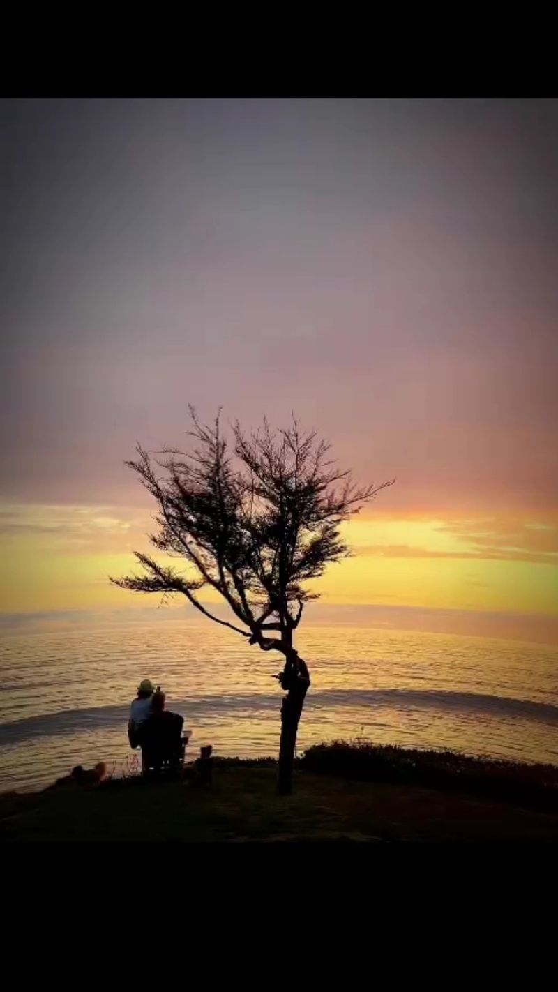 Sunsets That Steal the Whole Evening Sunsets That Steal the Whole Evening