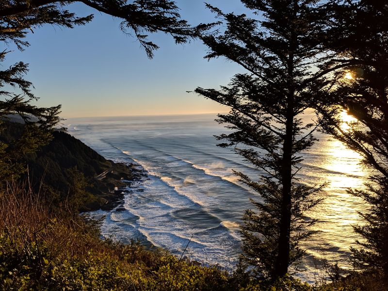 Sunsets, Whales, and Picnic Lunches