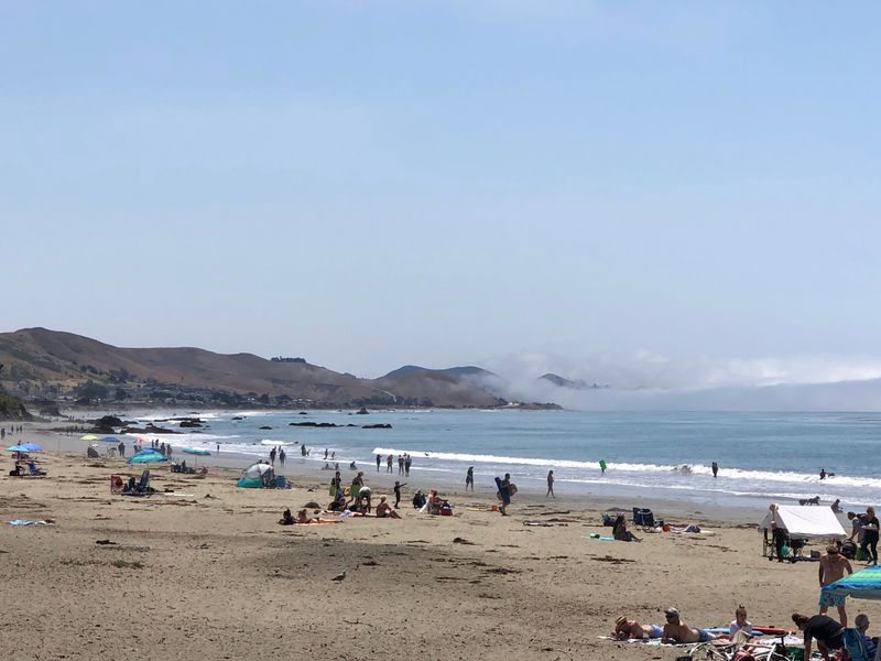 Surfing, Boogie Boarding, and Gentle Waves