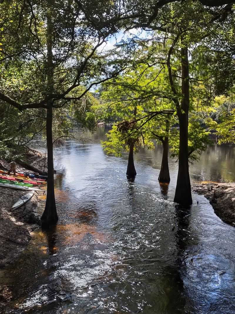 Suwannee River State Park, Live Oak, FL Suwannee River State Park, Live Oak, FL