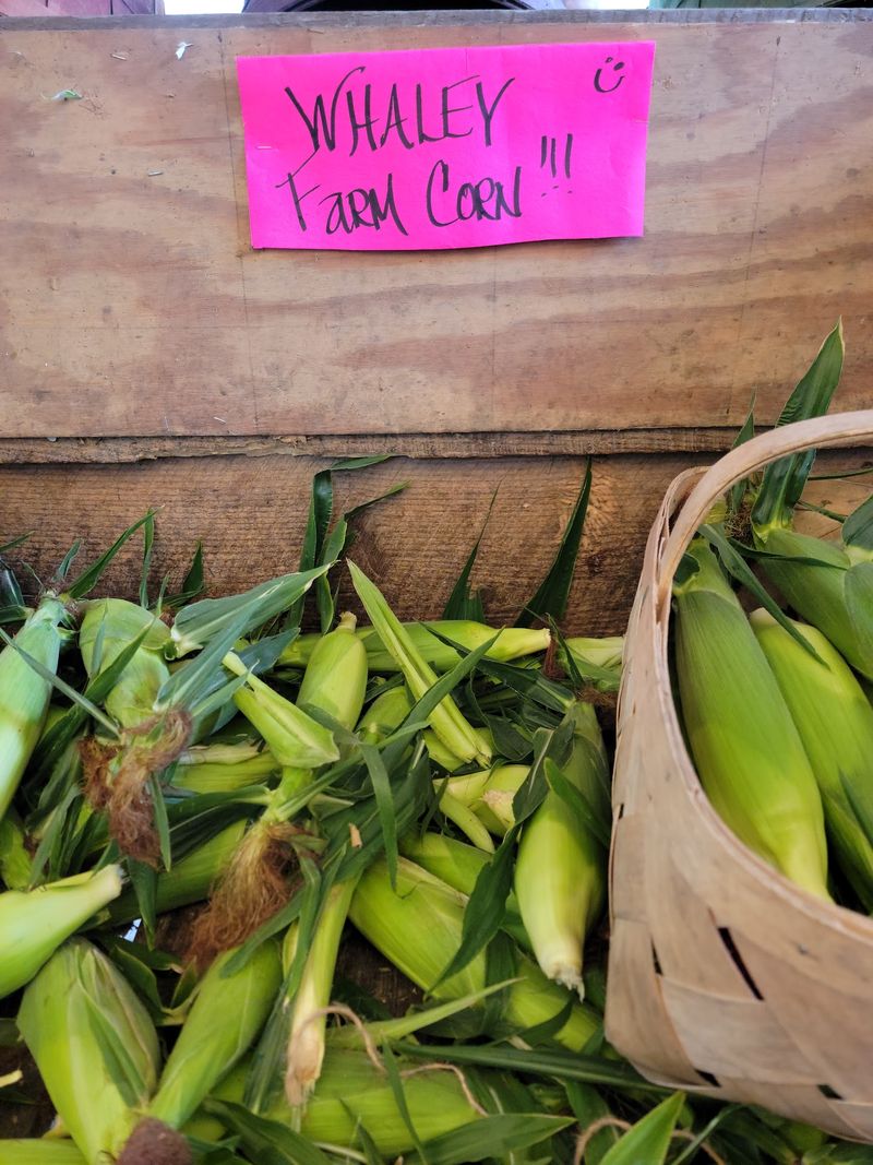 Sweet Corn That Steals The Summer Show Sweet Corn That Steals The Summer Show