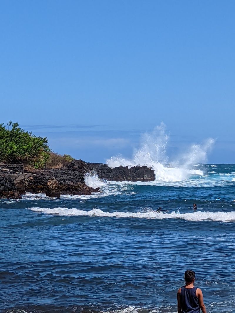 Swimming, Snorkeling, and the Offshore Reef Swimming, Snorkeling, and the Offshore Reef