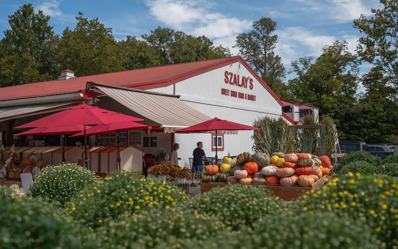 Szalay's Farm & Market, Ohio, Peninsula