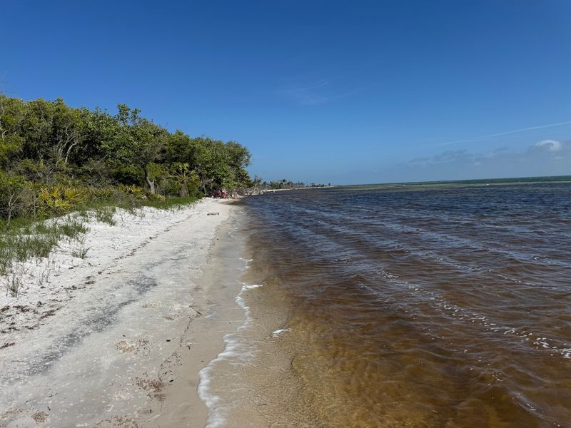 T.H. Stone Memorial St. Joseph Peninsula State Park, Port St Joe, FL T.H. Stone Memorial St. Joseph Peninsula State Park, Port St Joe, FL