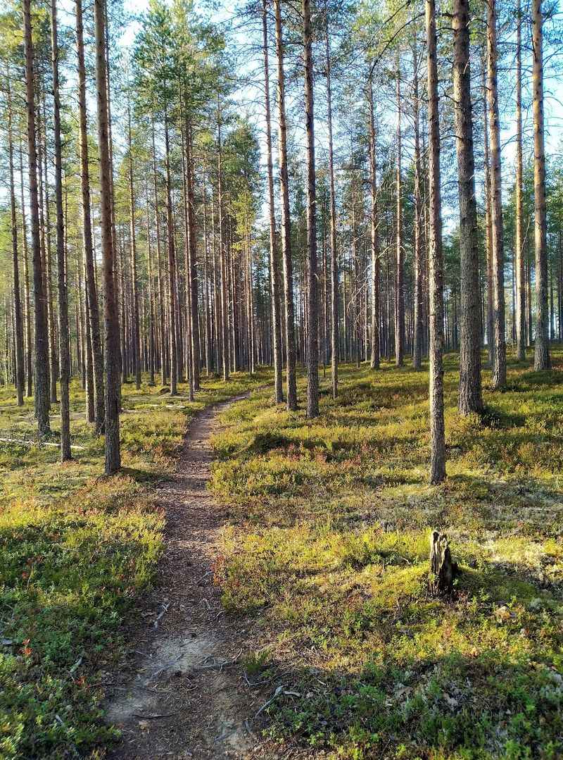 Taiga Spirit, Lentiira, Finland Taiga Spirit, Lentiira, Finland