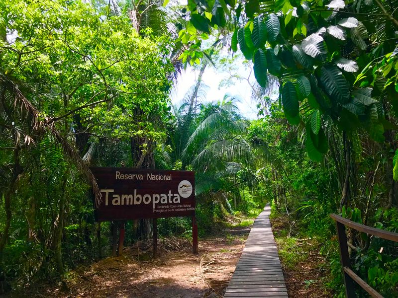 Tambopata National Reserve, Madre de Dios, Peru