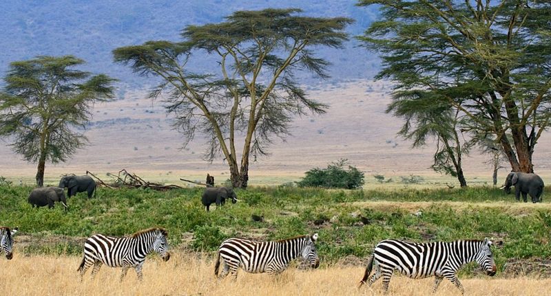Tanzania Tanzania