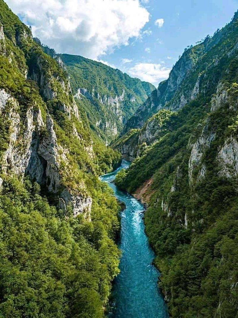 Tara River, Montenegro and Bosnia-Herzegovina