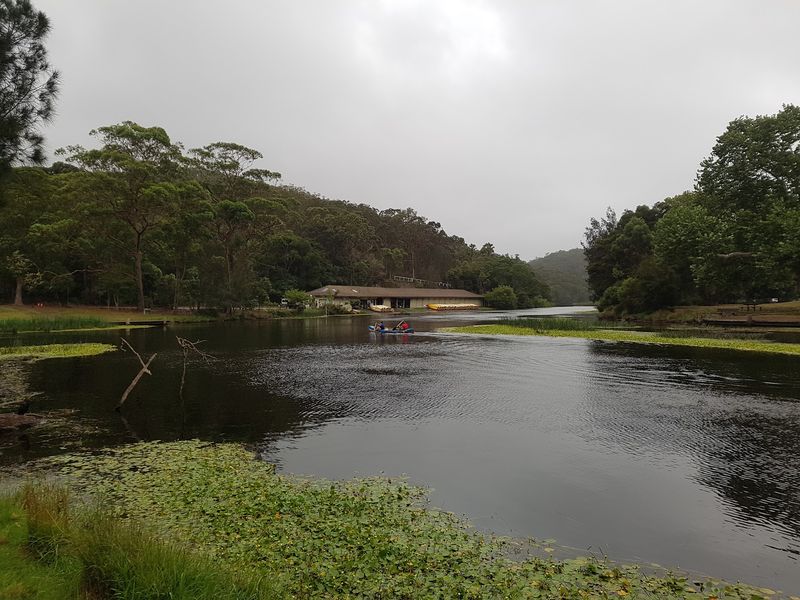 Ten Platypuses Returned in 2023