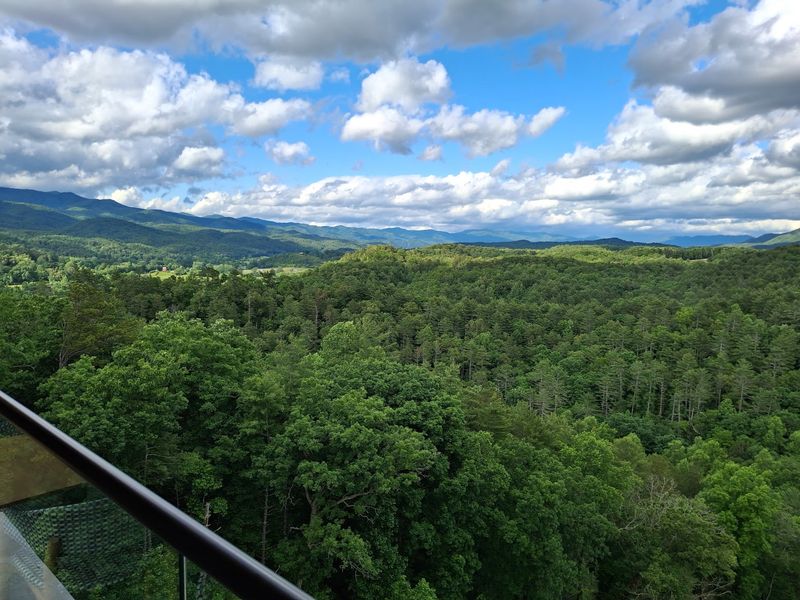 That Unforgettable View From the Top Floor That Unforgettable View From the Top Floor