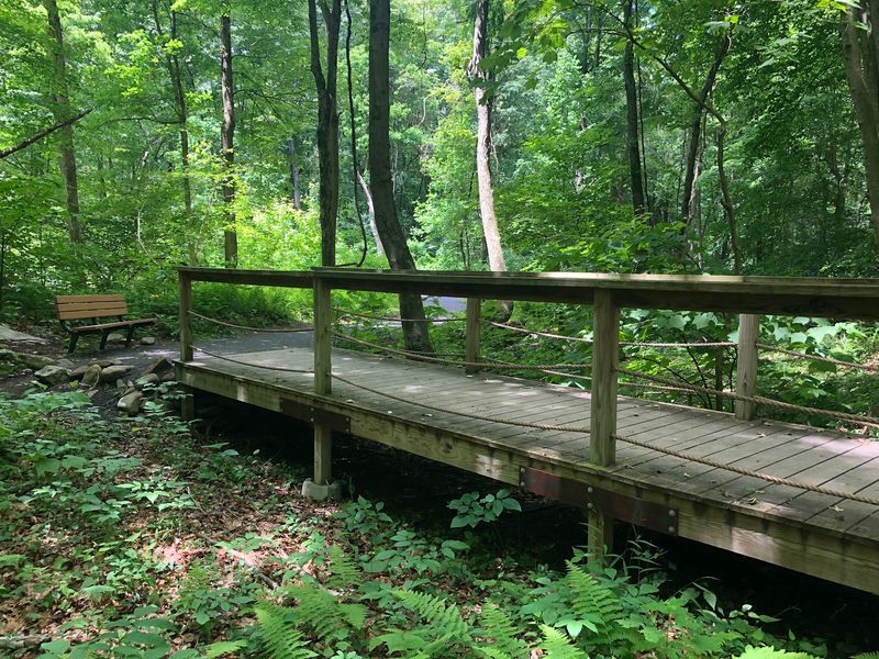The 1.7-Mile Loop Trail and What Makes It Worth Every Step