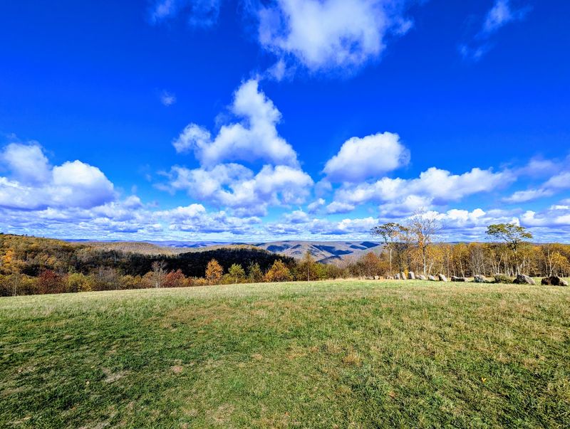 The 127-Mile Elk Scenic Drive Through Five Counties The 127-Mile Elk Scenic Drive Through Five Counties