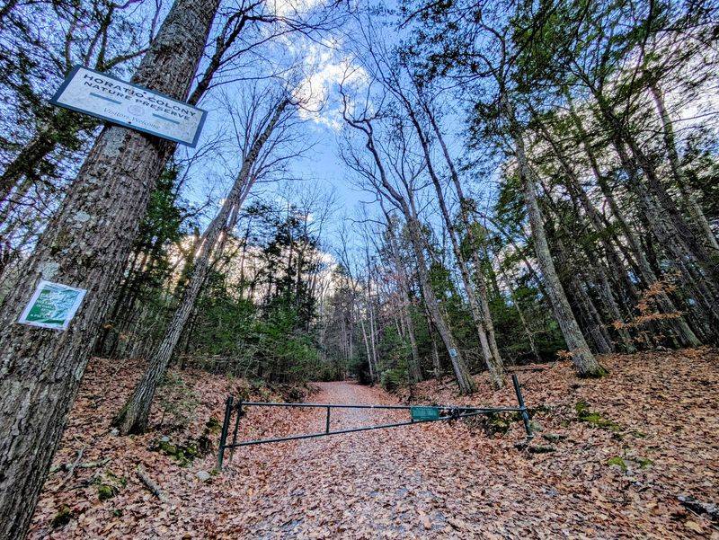 The 1763 Road Hidden Inside a Modern Forest The 1763 Road Hidden Inside a Modern Forest
