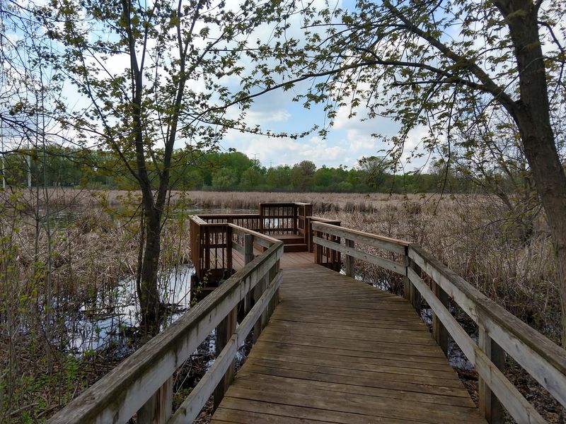 The 900-Foot Floating Boardwalk That Changes Everything The 900-Foot Floating Boardwalk That Changes Everything