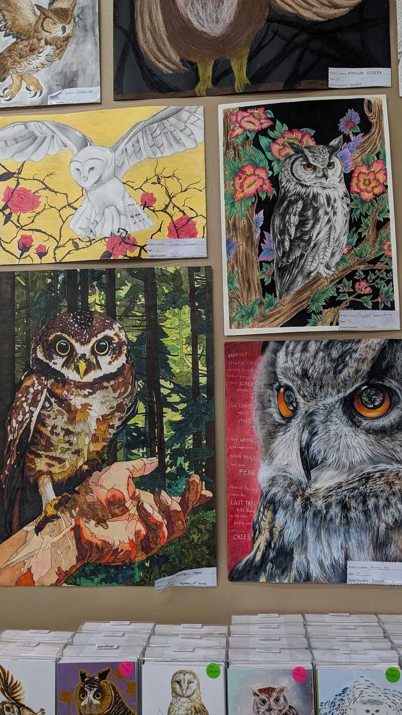 The Annual International Festival of Owls