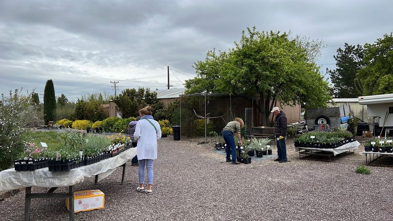 The Annual Plant Sale Is Worth Planning Your Trip Around