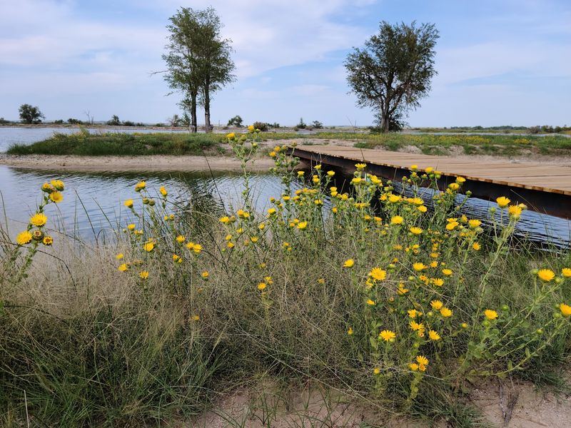 The Artesian Lake, Wildlife, and the Island Bridge The Artesian Lake, Wildlife, and the Island Bridge