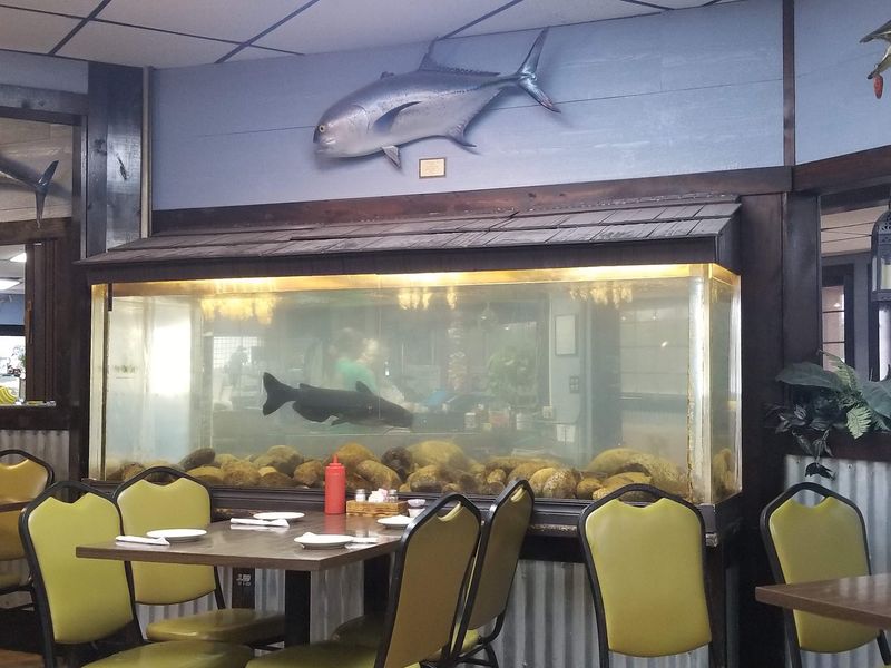 The Atmosphere Inside - Rustic, Eclectic, and Comfortable The Atmosphere Inside - Rustic, Eclectic, and Comfortable