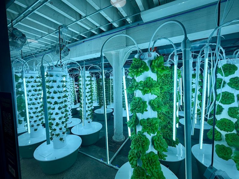 The Basement Farm That Changes Everything The Basement Farm That Changes Everything