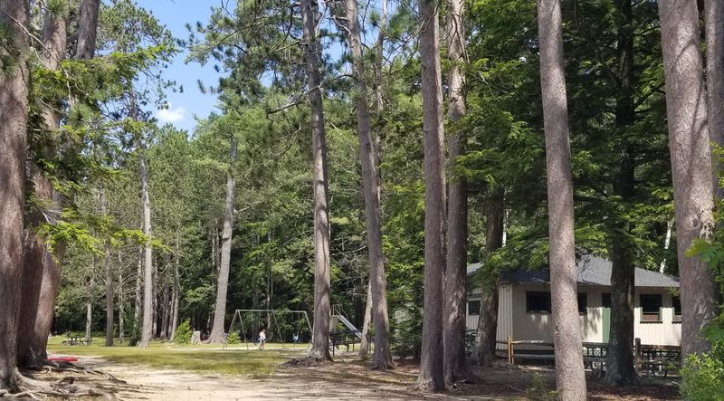The Beach, the Pines, and the Perfect Picnic Setup The Beach, the Pines, and the Perfect Picnic Setup