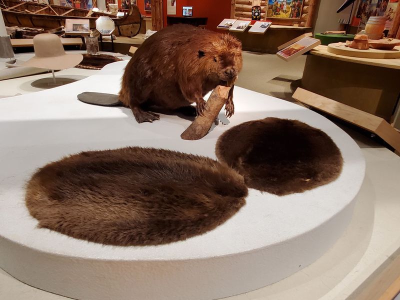 The Beaver Hat Fashion Trend That Fueled an Entire Industry The Beaver Hat Fashion Trend That Fueled an Entire Industry