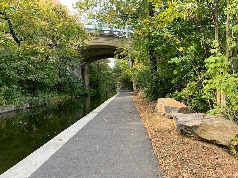 The Beloved 2.4-Mile Loop: Why This Walk Has Earned Its Reputation The Beloved 2.4-Mile Loop: Why This Walk Has Earned Its Reputation