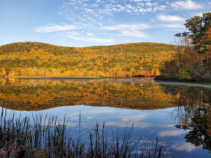 The Best Seat for Fall Foliage