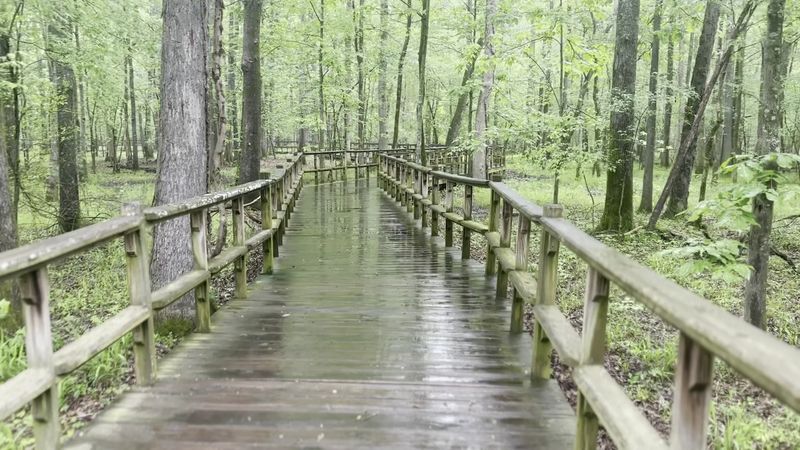 The Boardwalk That Steals the Show The Boardwalk That Steals the Show