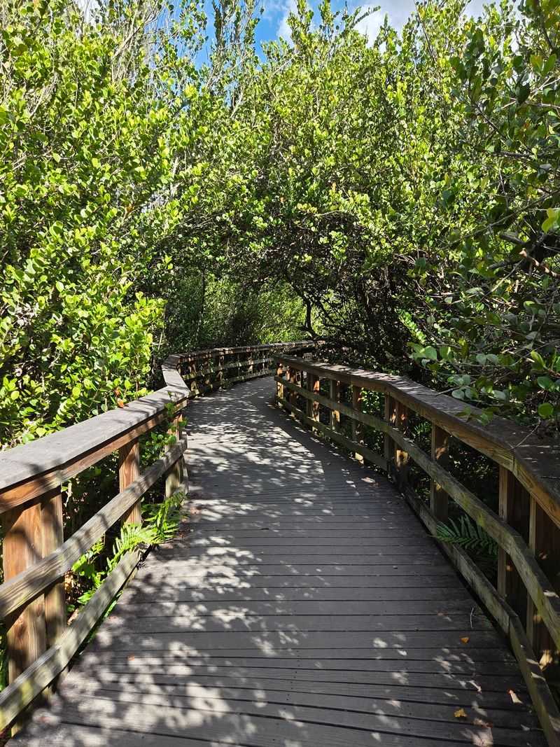 The Boardwalk and Short Trails Near the Center The Boardwalk and Short Trails Near the Center
