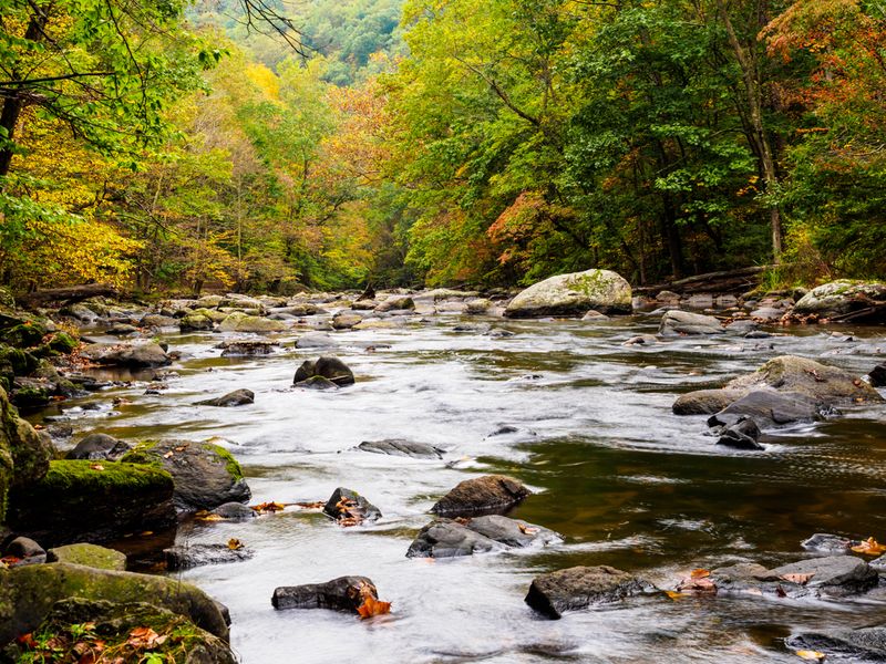 The Boulder-Strewn Trout River The Boulder-Strewn Trout River