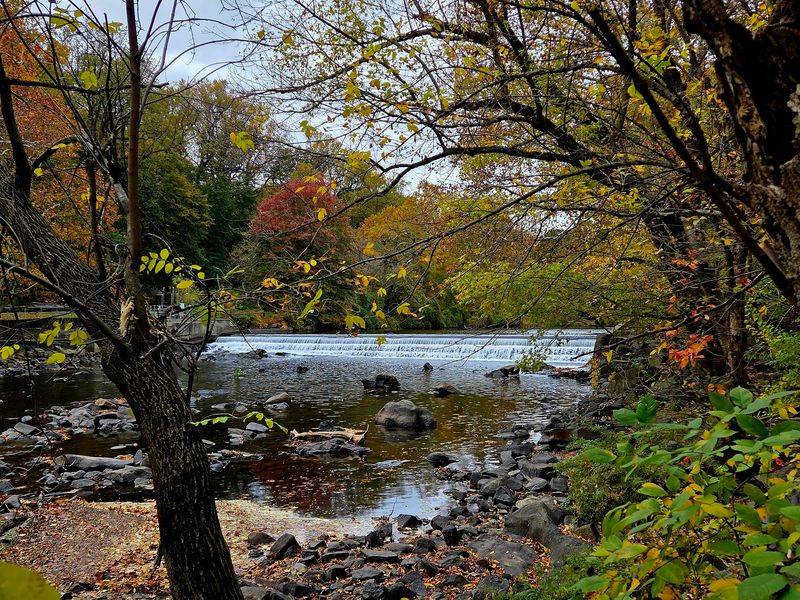 The Brandywine Creek Views That Make Every Walk Feel Different The Brandywine Creek Views That Make Every Walk Feel Different