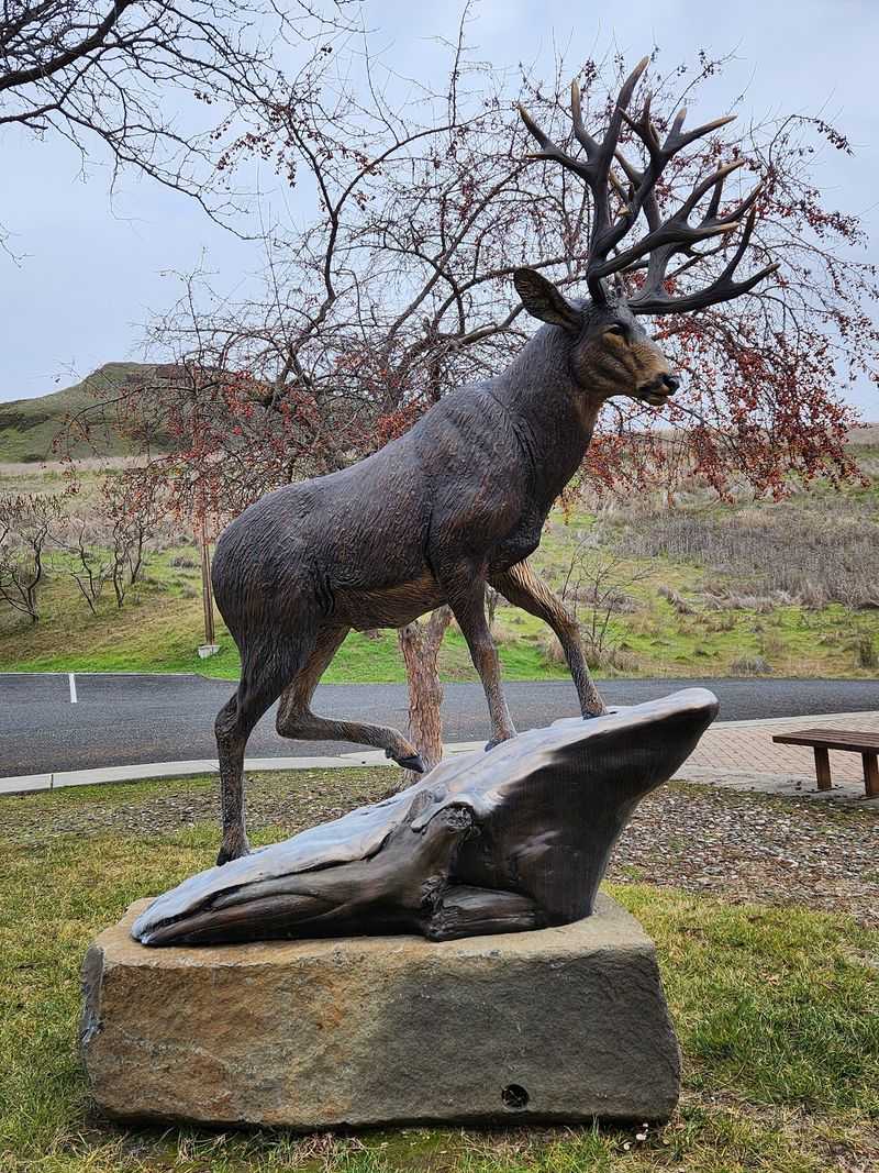 The Bronze Mule Deer: A Striking Welcome at the Entrance The Bronze Mule Deer: A Striking Welcome at the Entrance