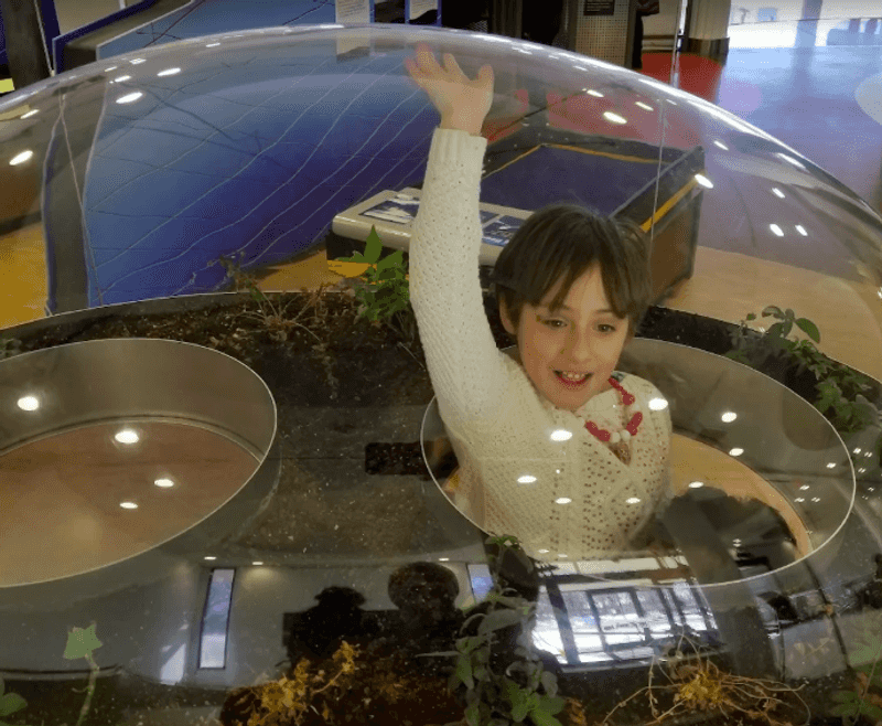 The Bubble Exhibit Everyone Remembers