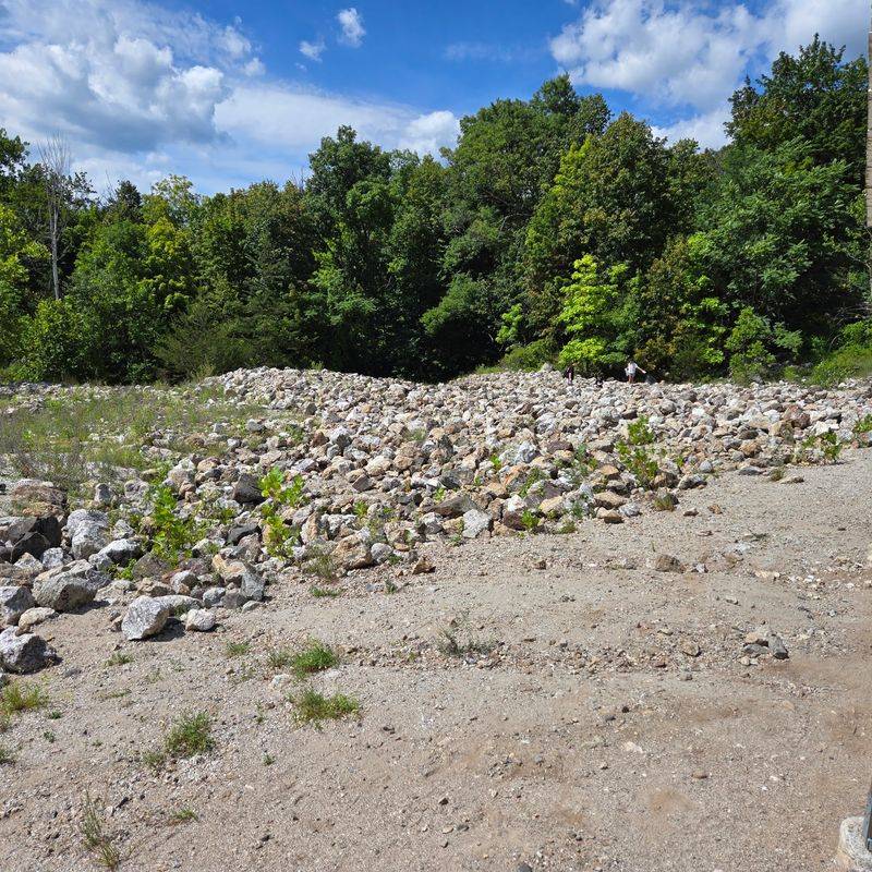 The Buckwheat Ore Dump Rock Hunt