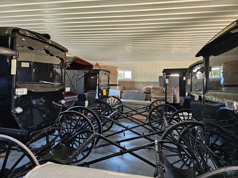 The Buggy Culture Up Close The Buggy Culture Up Close
