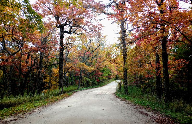 The Bumpy Gravel Road You Should Know About The Bumpy Gravel Road You Should Know About