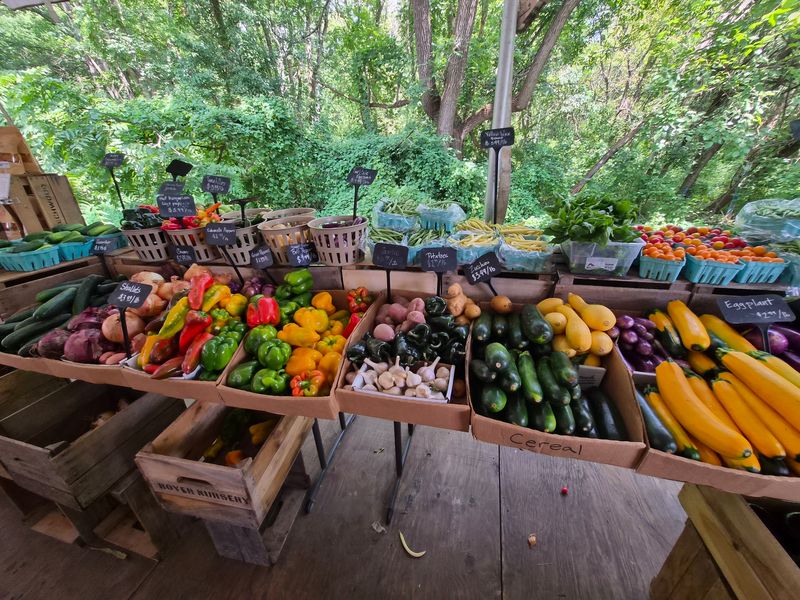 The CSA That Keeps People Coming Back The CSA That Keeps People Coming Back