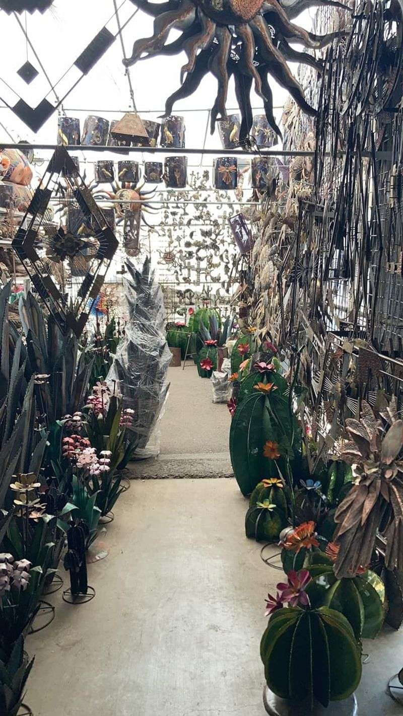 The Cactus Guy and Garden Finds