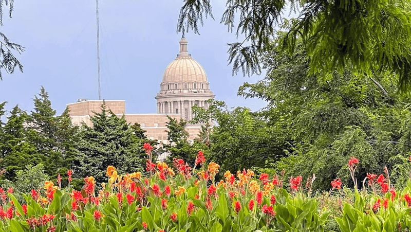 The Capitol Backdrop and Outdoor Grounds The Capitol Backdrop and Outdoor Grounds