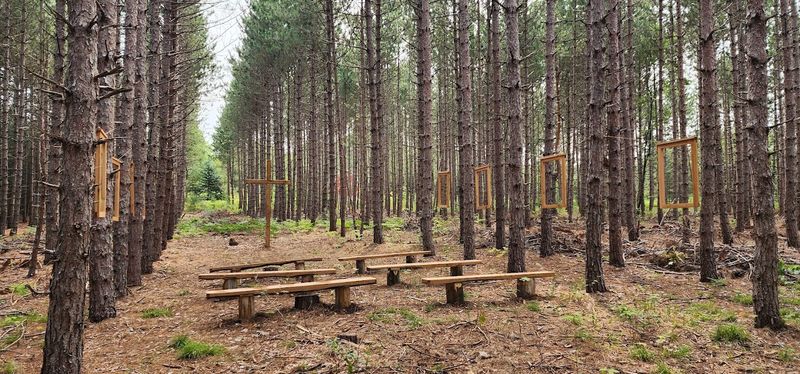 The Chapel in the Pines That Nobody Expects The Chapel in the Pines That Nobody Expects