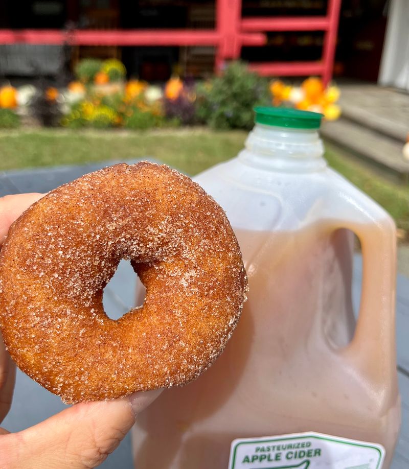 The Cider Donuts That Built the Reputation The Cider Donuts That Built the Reputation
