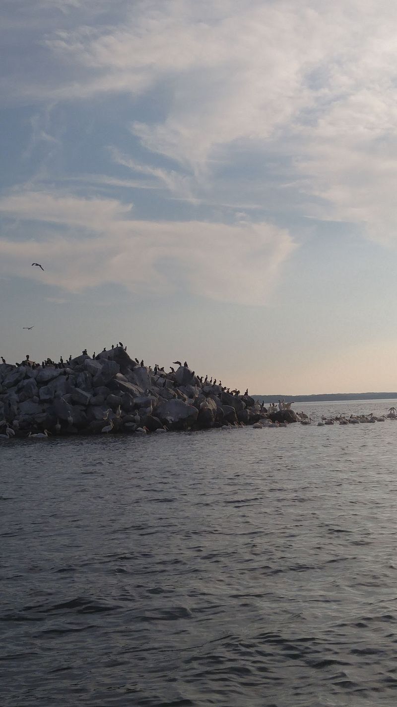 The Conservation Legacy Behind Tiny Refuges The Conservation Legacy Behind Tiny Refuges