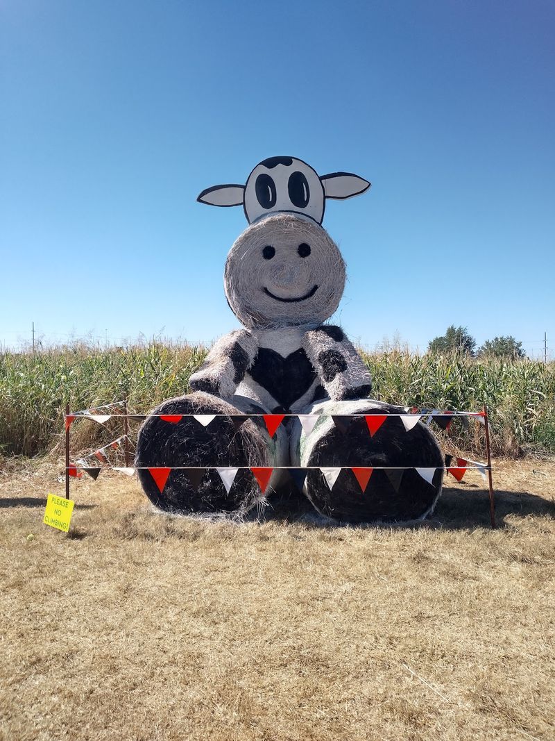 The Corn Maze That Swallows You Whole The Corn Maze That Swallows You Whole