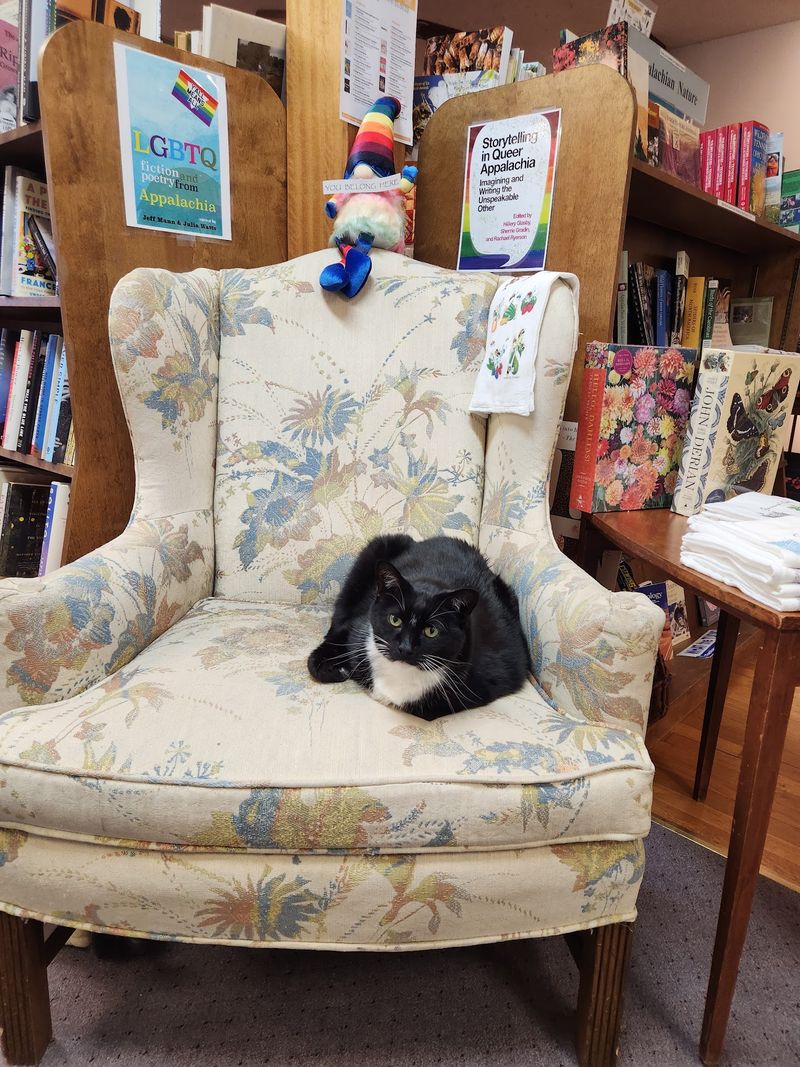 The Cozy, Welcoming Atmosphere Readers Adore The Cozy, Welcoming Atmosphere Readers Adore