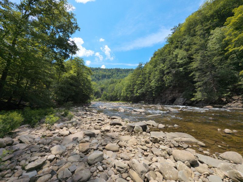 The Creek That Rules It All The Creek That Rules It All