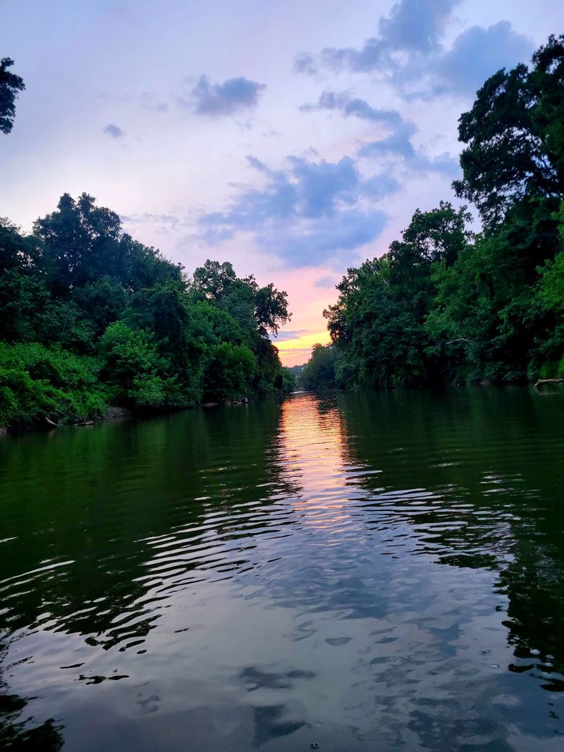 The Dan River Setting and Its Wild Neighbors The Dan River Setting and Its Wild Neighbors