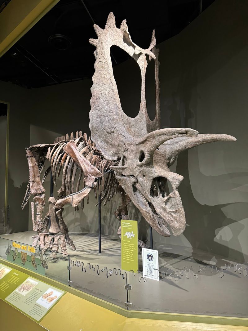The Dinosaur Hall That Earns Every Bit of the Hype The Dinosaur Hall That Earns Every Bit of the Hype