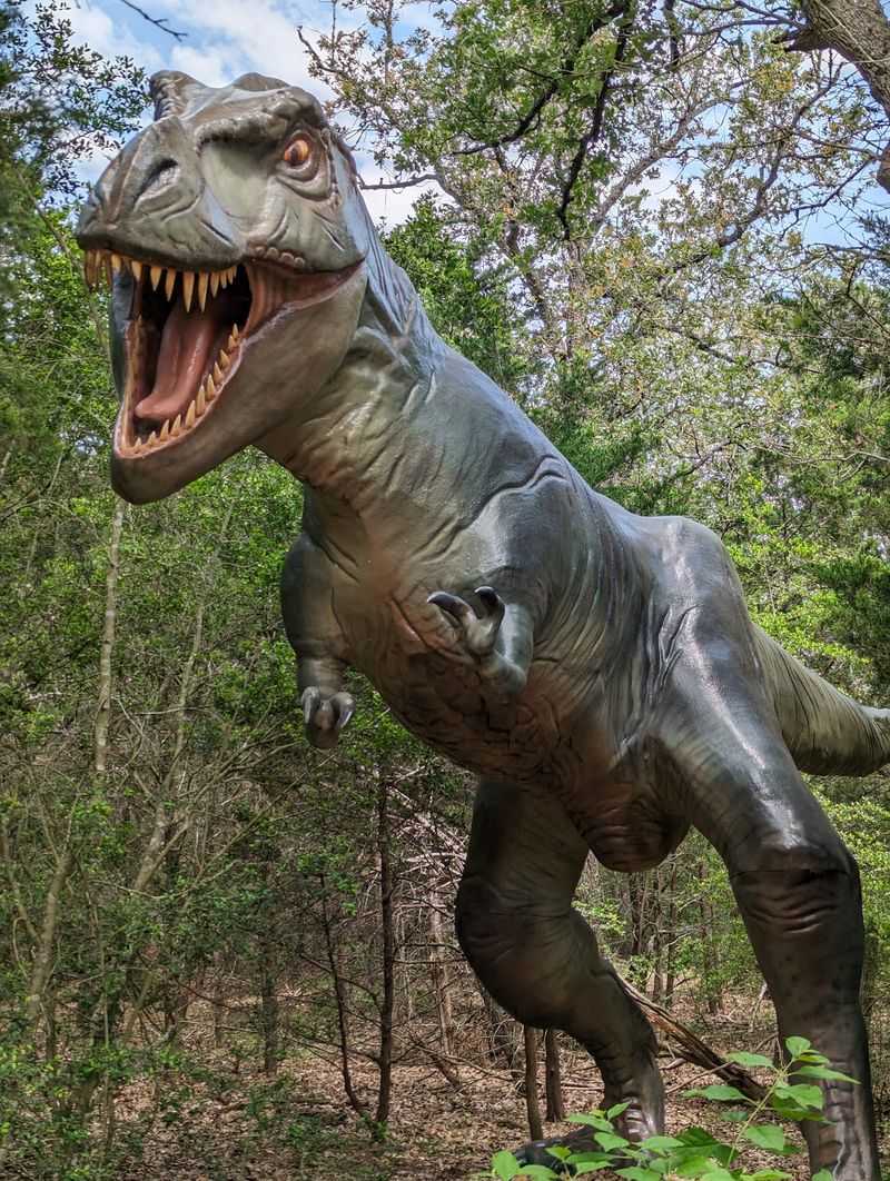 The Dinosaur Park, Cedar Creek, Texas The Dinosaur Park, Cedar Creek, Texas