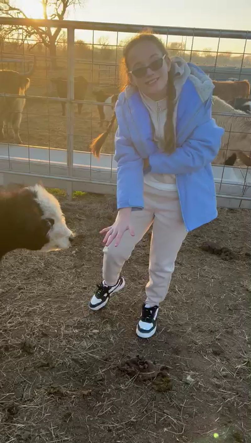 The Donkeys Who Steal the Show The Donkeys Who Steal the Show