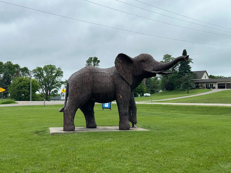 The Elephant That Started Every Conversation